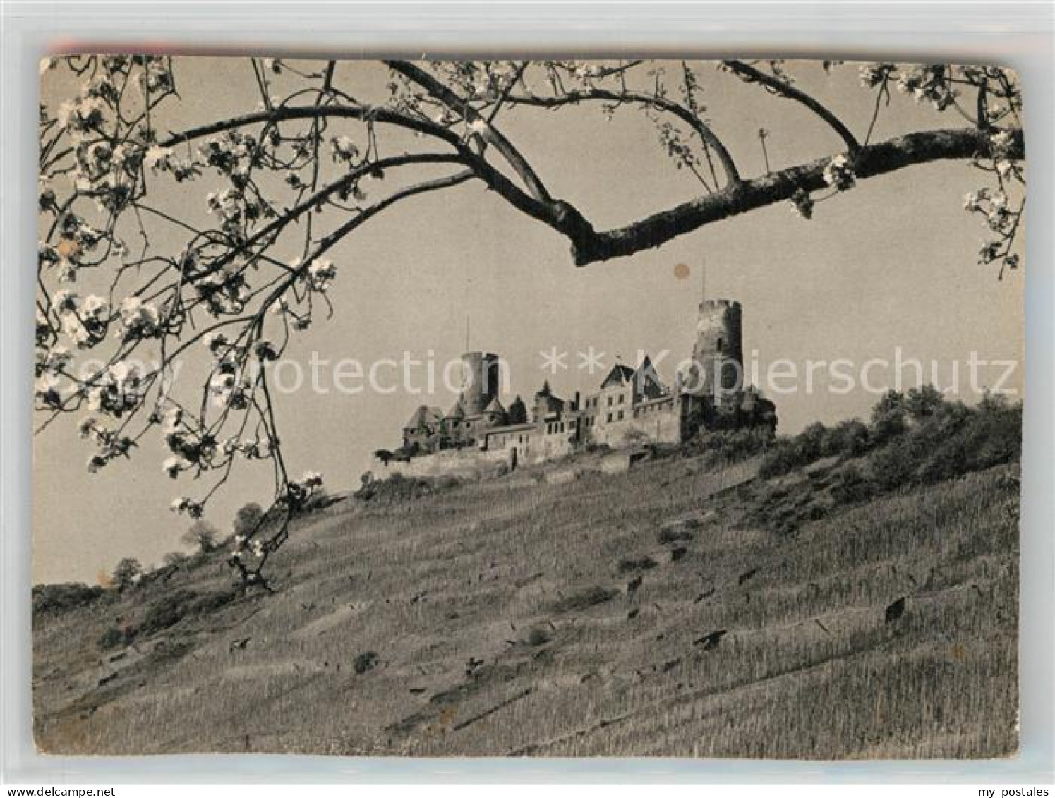 Alken Koblenz Burg Thurandt