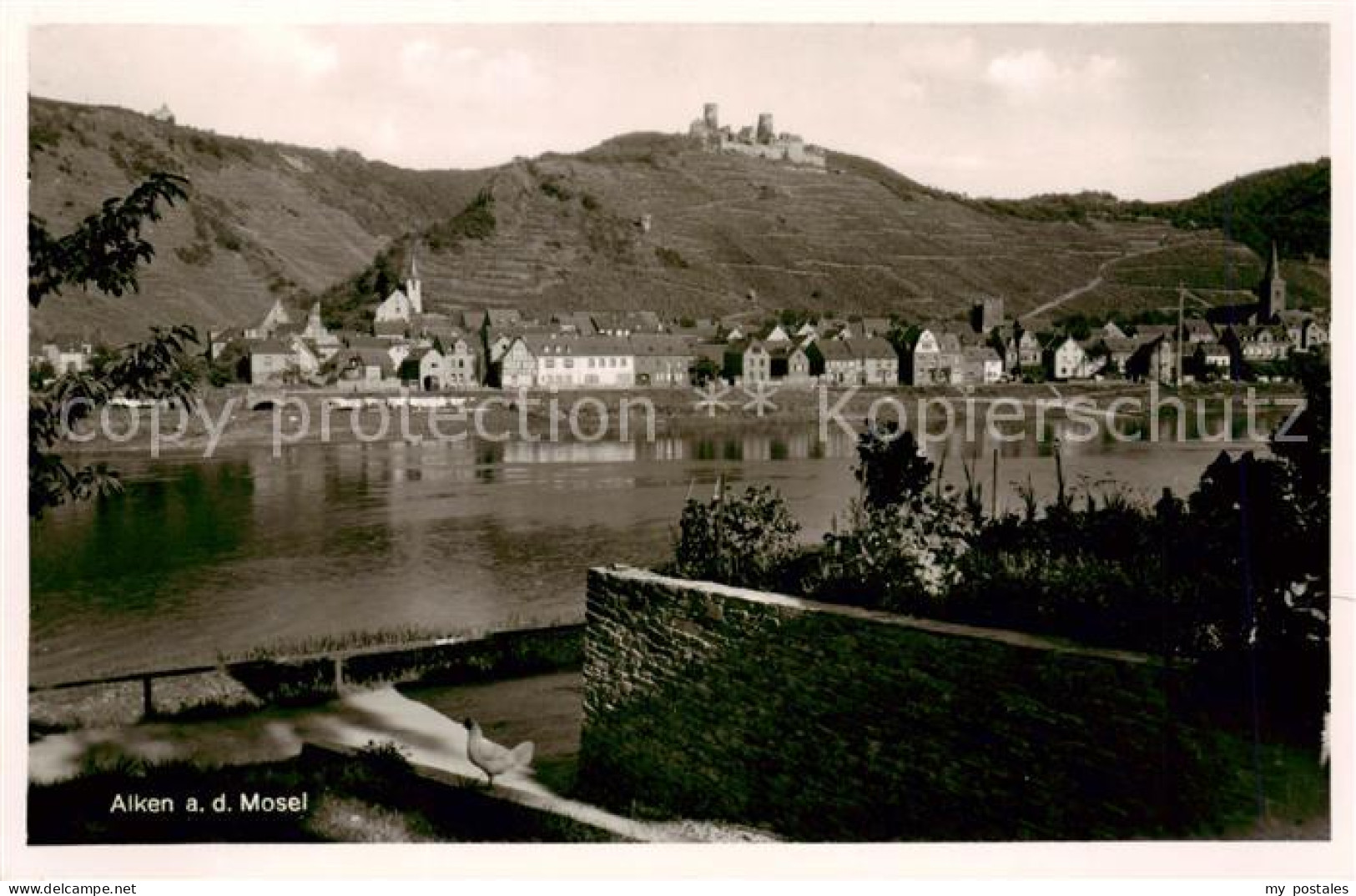 Alken Mosel Burg Thurandt