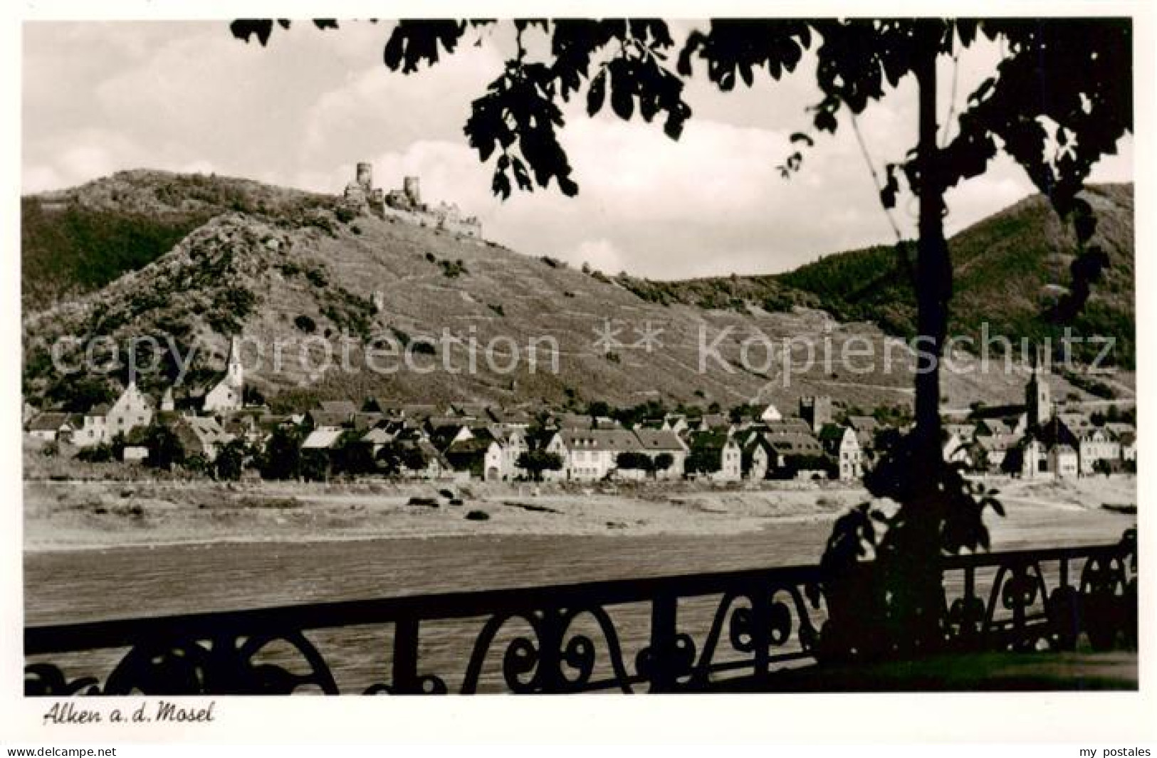 Alken Mosel Panorama