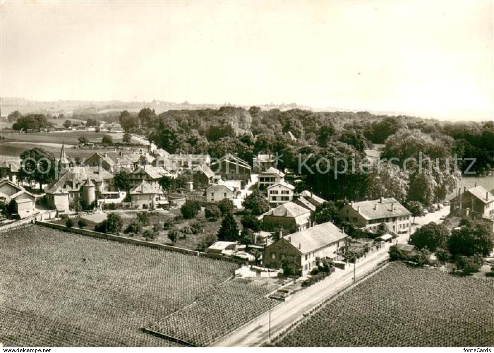 Allaman Fliegeraufnahme