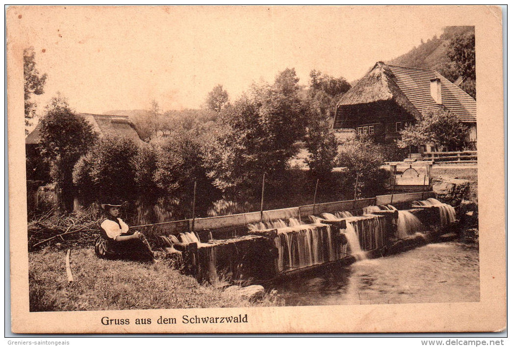 Allemagne - BADE WURTEMBERG - Grus aus dem schwarzwald