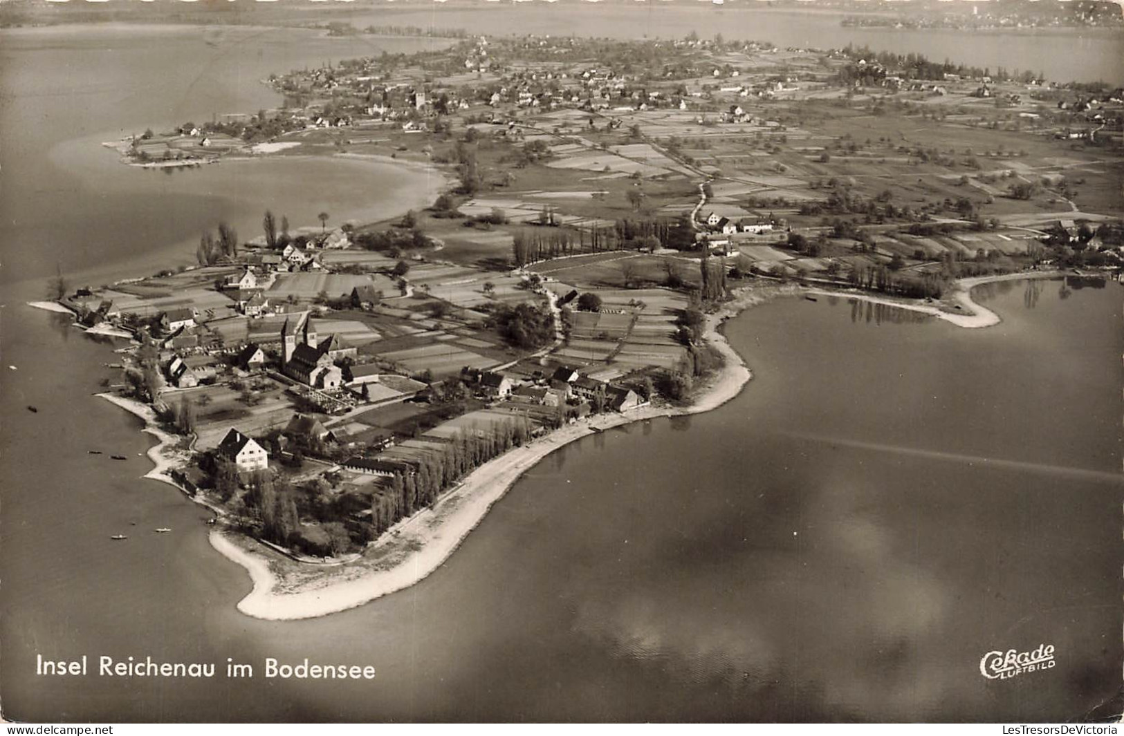 ALLEMAGNE - Insel Reichenau - Bodensee - Île - Lac de Constance - Champs - CPA