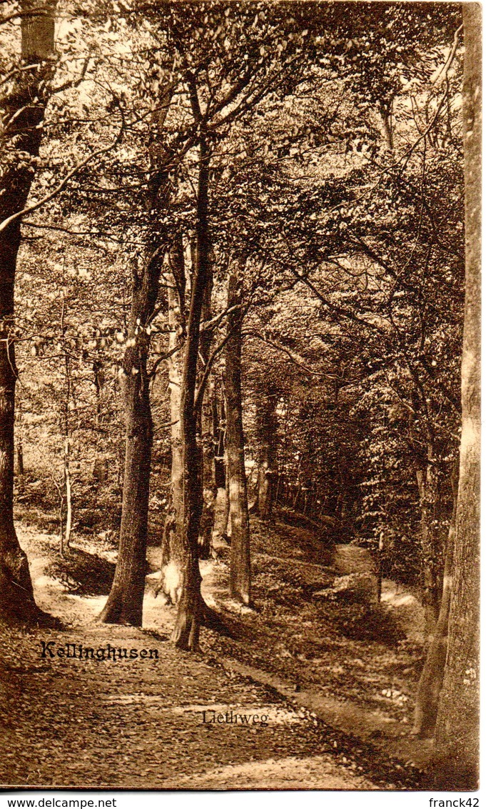 allemagne. kellinghusen. liethweg