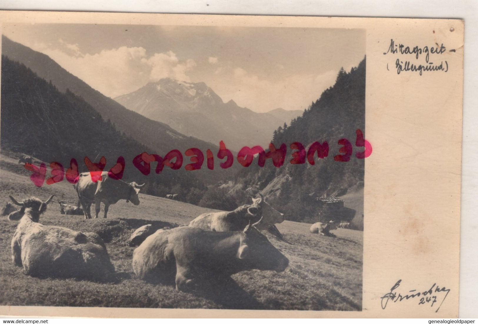 ALLEMAGNE - MITTAGSZEIT - BAVIERE-BILLERGRUND -CARTE PHOTO