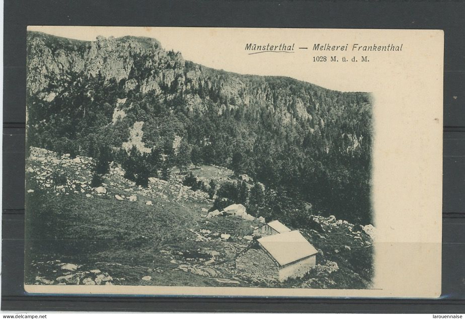 ALLEMAGNE - MUENSTERTAL -MELKEREI FRANKENTHAL