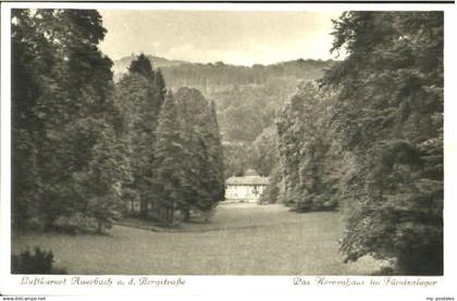70112680 Auerbach Auerbach Herrenhaus ungelaufen ca. 1920