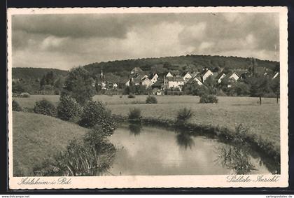 AK Adelsheim, Südliche Ansicht