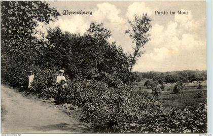Ahrensburg - Partie im Moor
