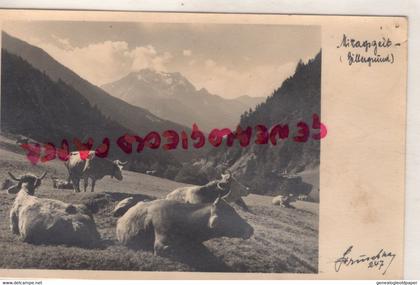ALLEMAGNE - MITTAGSZEIT - BAVIERE-BILLERGRUND -CARTE PHOTO