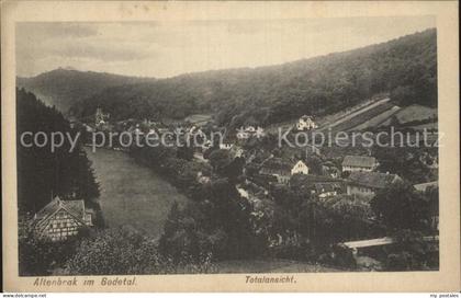 Altenbrak Harz Totalansicht