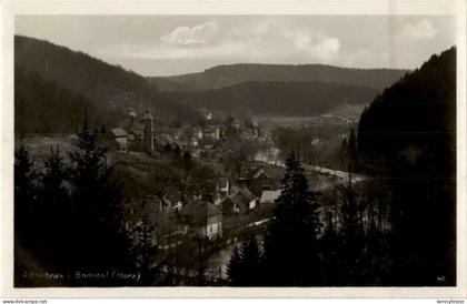 Altenbrak im Bodetal