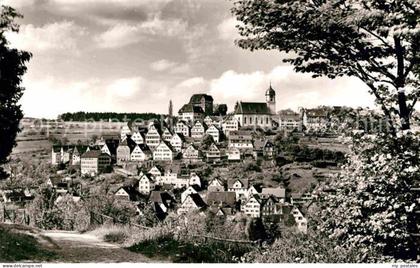 Altensteig Schwarzwald Panorama Kirche