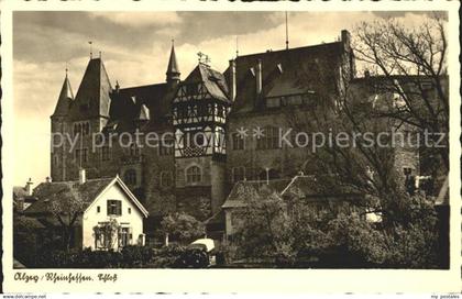 Alzey Schloss