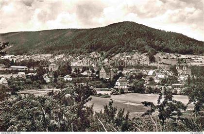 AMORBACH Bayern Amorbach Odenwald Kirchturm Kloster Ortschaft Berge Wald Felder