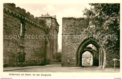 Andernach Burgruine