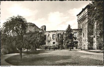 Andernach Burgruine