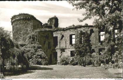 Andernach Schloss