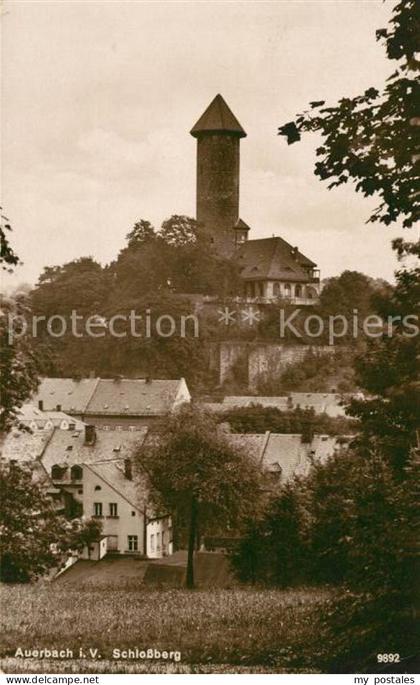 Auerbach Vogtland Schlossberg