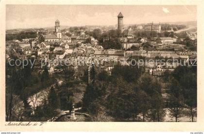 Auerbach Vogtland Stadtpanorama