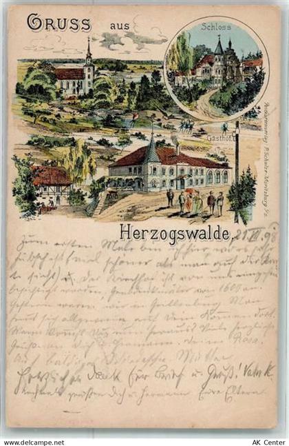 01723 O8211 Herzogswalde 1898 Gebrauchsspuren Schloss Gasthaus Lithograp... - 13621640