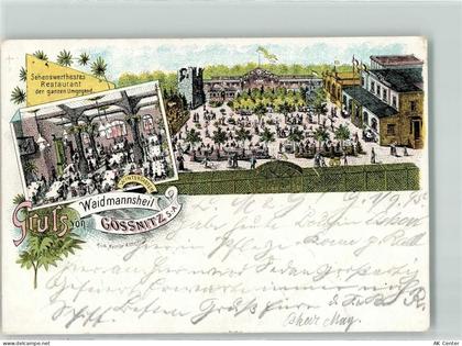 06647 O4801 Gößnitz b Naumburg, Saale 1895 Lithographie Gasthaus Waidman... - 13606673