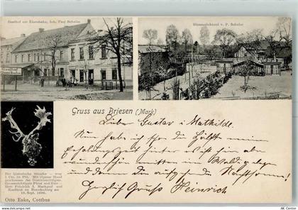 15518 O1243 Briesen (Mark) 1905 - Gasthof Zur Eisenbahn Bienenzüchterei ... - 13600412