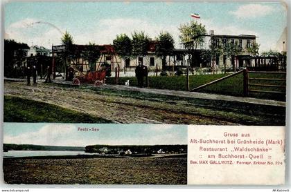 15537 O1252 Grünheide , Mark 1912 Foto AK Peetz-See Gasthaus Waldschänke... - 52096562