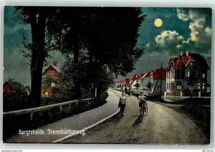 22941 W2072 Bargteheide Mondschein Tremsbüttlerweg Radfahrer - 13498199