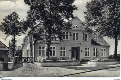 25548 W2217 Kellinghusen um 1950/60 - Kellinghusen: Mittelholstein, Satt... - 20004162