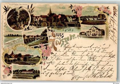 31535 W3057 Neustadt am Rübenberge 1899 Lithographie Bahnhof Kleine Brüc... - 13517445