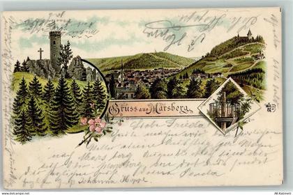 34431 W3538 Marsberg , Sauerland 1897 Lithographie Schandpfahl Turm Ruin... - 52284802