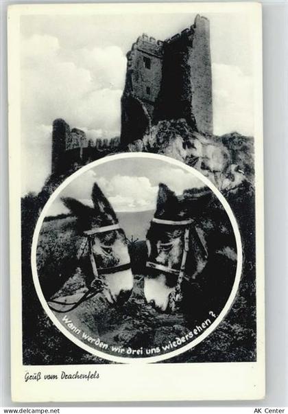 53639 W5330 Drachenfels - Drachenfels, Esel - 10019547