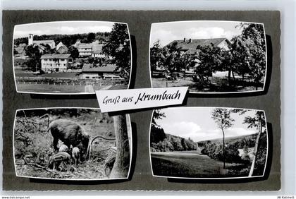 64385 W6149 Krumbach , Odenw - Gasthaus zum Auerhahn - 51339168