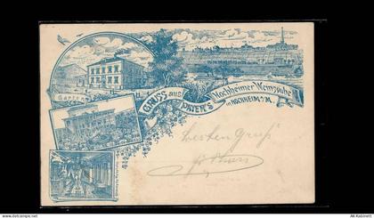 65239 W6203 Hochheim am Main 1904 Lithographie Gruss aus Payer's Hochhei... - 51487711