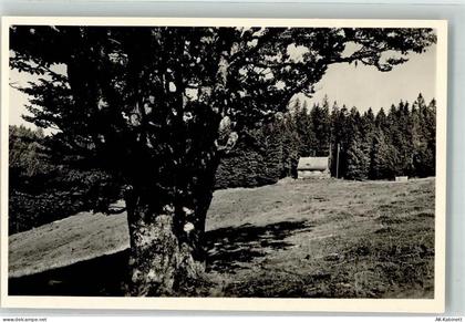 79244 W7816 Münstertal , Schwarzwald - Hütte Hubertus - 39667578