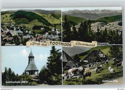 79682 W7865 Todtmoos - Hochkopfturm Todtmoos-Weg - 10051417