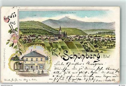 94513 W8351 Schönberg , Niederbay 1900 Lithographie Kaufmannsladen Stras... - 13625807
