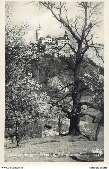A6007 Germany Schloss Forchenstein