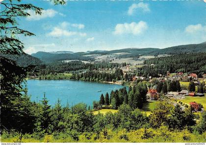 B34237 Hochschwarzwald  germany