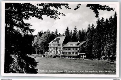 Hornisgrinde - Kurhaus Breitenbrunn - 51110708