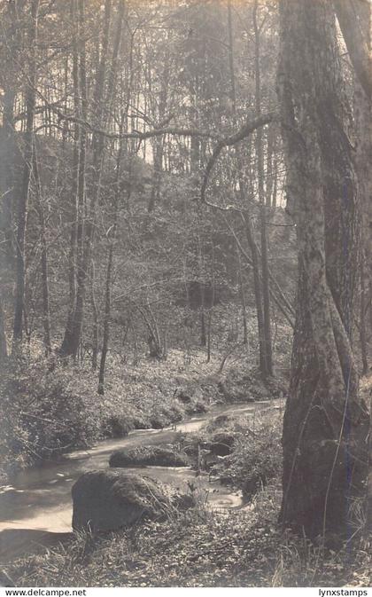 L217 Germany 1901 Dahmsdorf Muencheberg River Forest vintage postcard