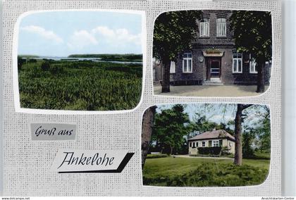 50372003 - Ankelohe