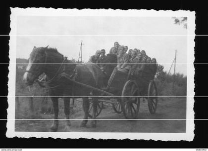 orig. Foto 1948 Ortspartie Bederkesa Geestland, junge Mädchen + Jungen auf Pferde Fuhrwerk unterwegs