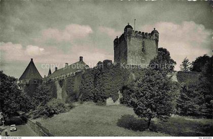 Bad Bentheim Burg-Bentheim Burgturm Zinnen Burgmauer Efeu Baeume Auto