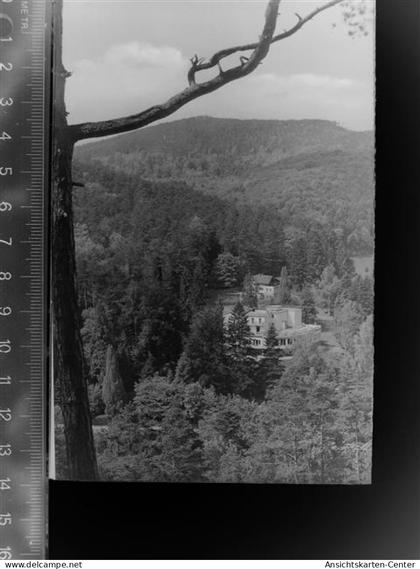 30054306 - Bad Bergzabern