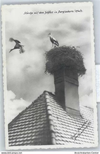 50631035 - Bad Bergzabern