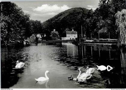 51587485 - Bad Bergzabern