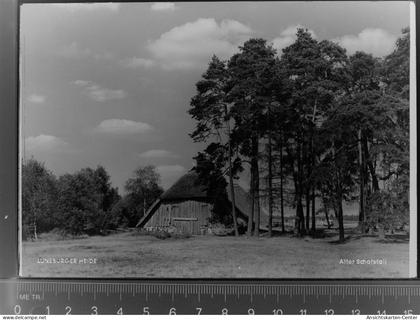 30020184 - Bad Bevensen