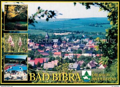 73268947 Bad Bibra Stadtpanorama Waldpartie Natur Freibad Bad Bibra