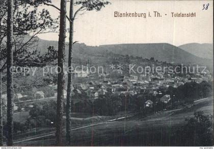 Blankenburg Bad Panorama